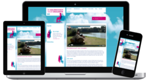 De balanscoach voor vrouwen de balanscoach voor vrouwen website